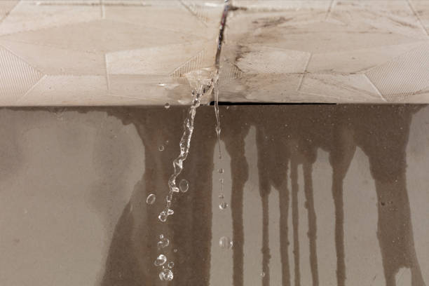 Professional Structural Drying technician working in Patriot, OH